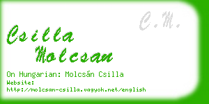 csilla molcsan business card