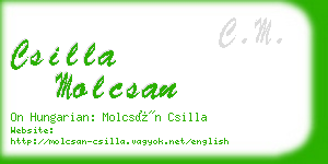 csilla molcsan business card